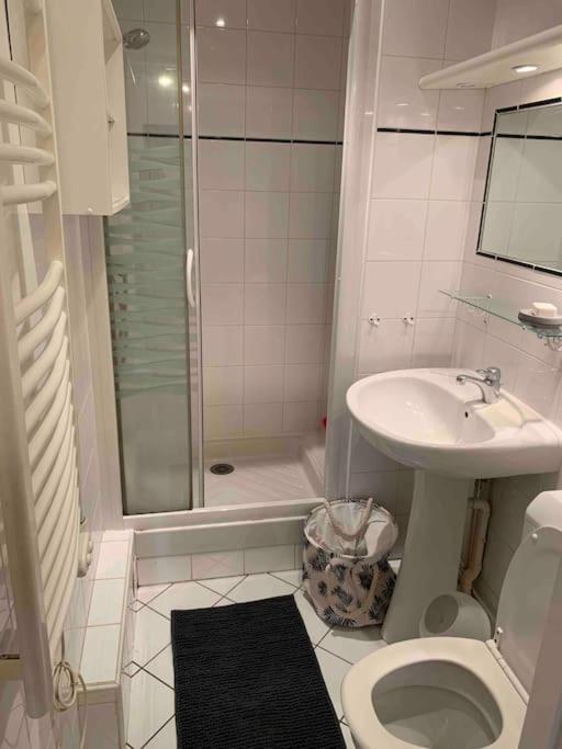 Cosy Hyper-centre Apartment